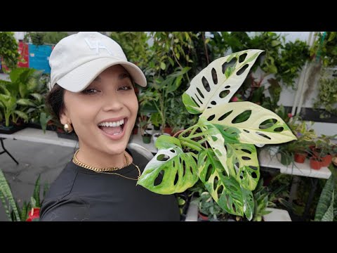 Plant Shopping Secrets at Rose Bowl Flea Market🌱 Hidden Treasures + Must-See Vendors