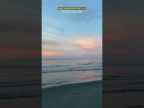 NAPI WAKOFEN BE AYA (BILANG PAR BETA) #lagubiak 