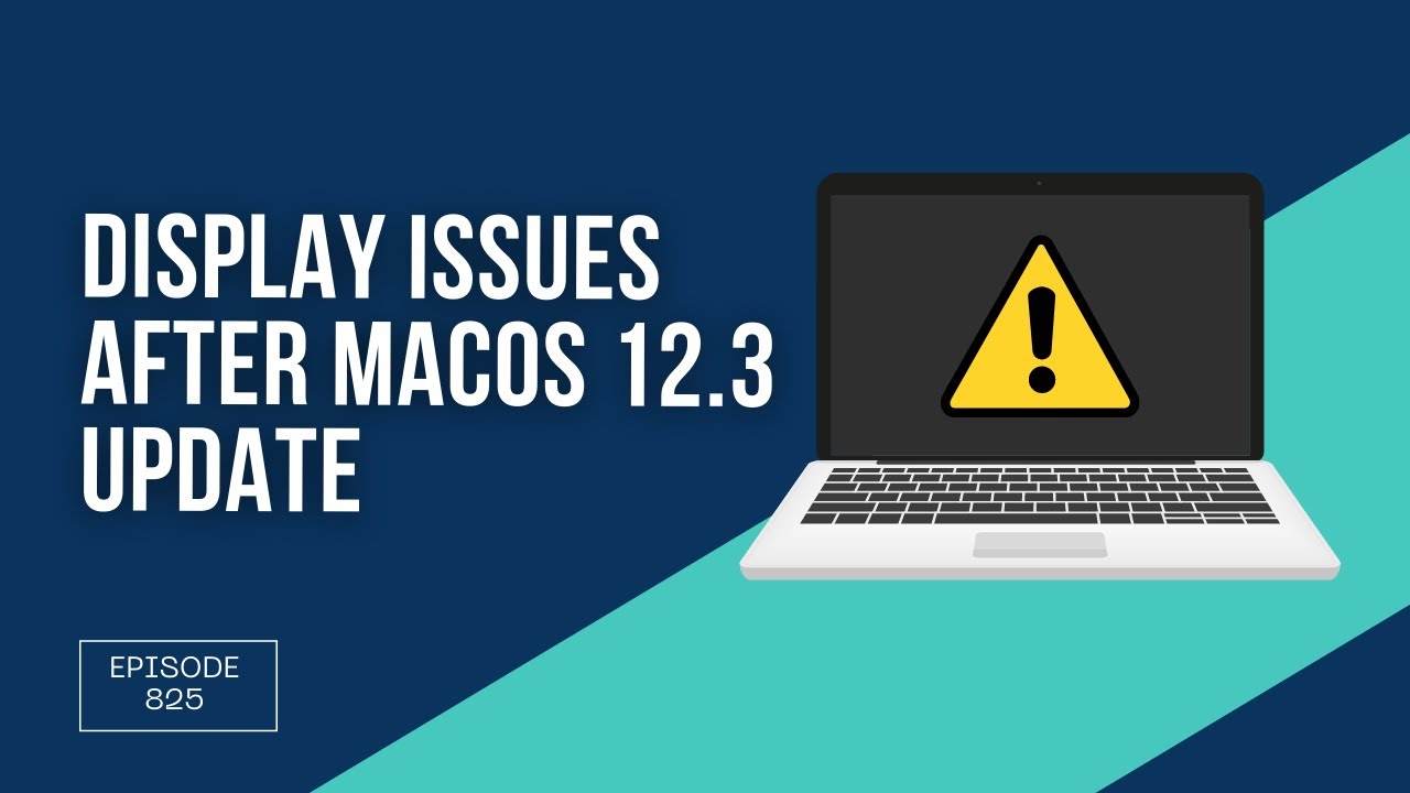 Display Issues After macOS 12.3 Update