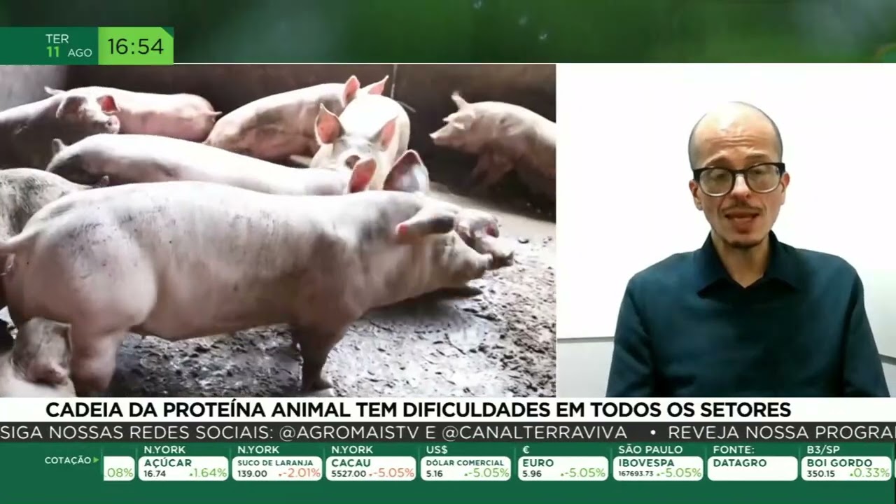 Cadeia da proteína animal tem dificuldades em todos os setores
