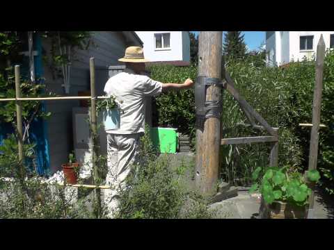 Developping Punching Power Part Zero A Introduction