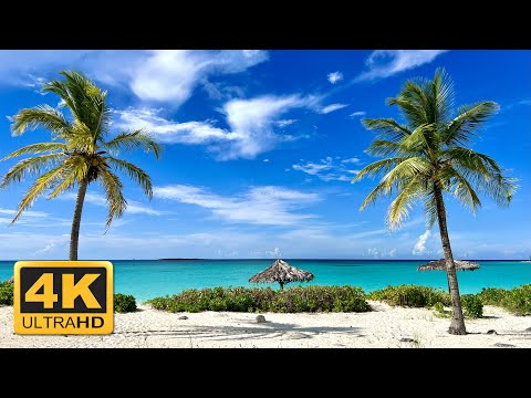 Exuma Bahamas Vacation in Paradise | Sandbars, Swimming Pigs, Iguanas, Stingray, & Sea Turtles