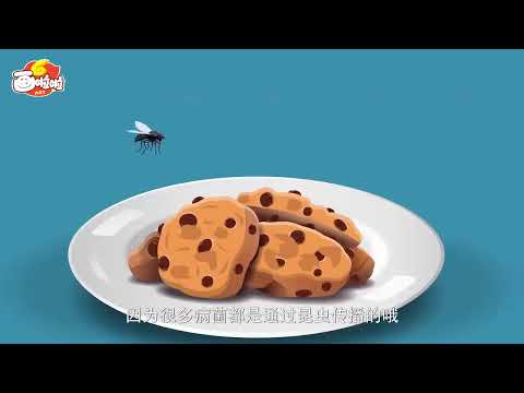【必看的科普动画】法布尔昆虫记全10集《第1集 走进昆虫世界 》 引导孩子有效学习科普知识 提升知识 开阔眼界 史上最受欢迎的昆虫读物配套动画