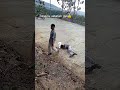 Pembully Yang Kemaren Sempat Viral Kini Sudah Di Amankan Kepolisian Bullying Viral Shorts Video