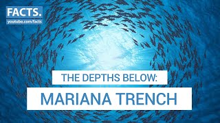 The Depths Below: Mariana Trench