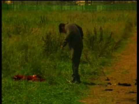 Dead or Alive ending