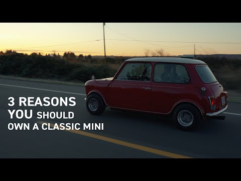 Reasons you Should or Should NOT Own a Mini