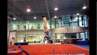 preview picture of video 'Parallel Bars Handstand Attempts 1-8'