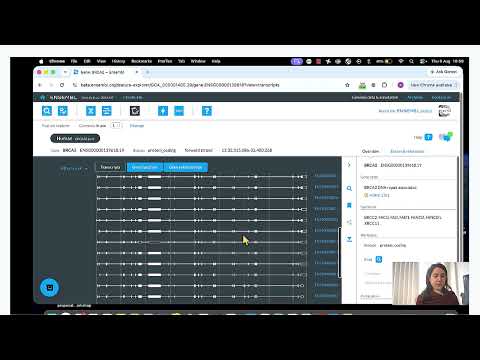 Demo Navigating The Feature Explorer App
