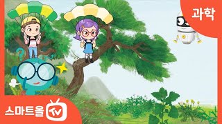 [4학년ㅣ과학] 들과 산에서 사는 식물의 특징 알아보기ㅣ 4학년 2학기 1. 식물의 생활 (1)