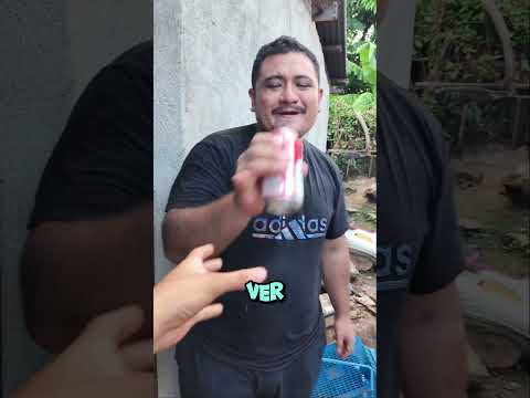 me convencieron