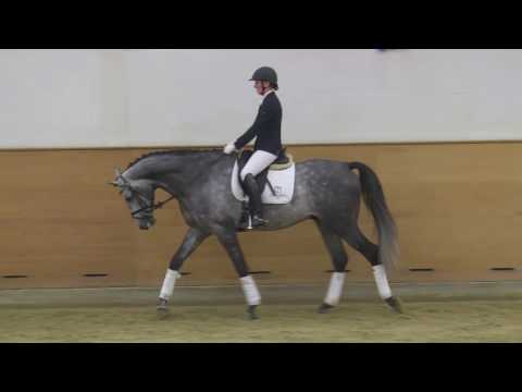 121 Classic Motion v. Clarimo - Casall