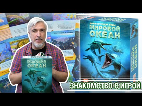 Знакомство с игрой