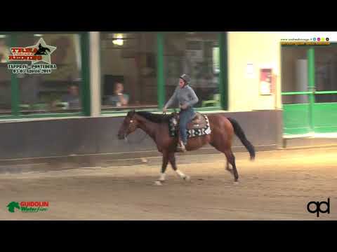 Snafflebit e 4 tappa TRHA 2018 - SANTONI CHIARA ANDREA su UNTIL di NISTRI ELENA con score 70,5