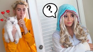SURPRISING MY GIRLFRIEND WITH HER DREAM KITTEN!