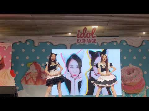 VID0617 CareKim - พี่คะ พี่ !!!   Idol Exchange Food Market @ MBK center #GachikoiidolClub