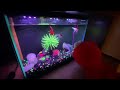 Elmo World Birthdays Intro New