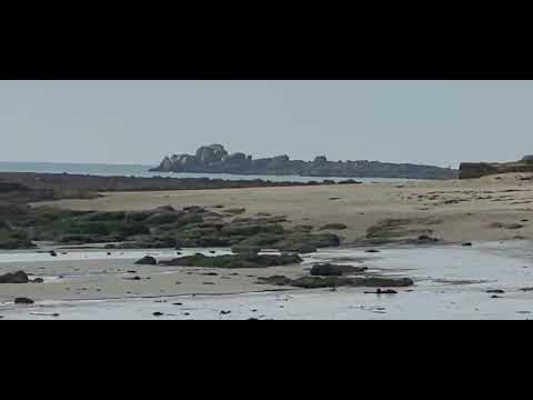 Le port de larvor à loctudy