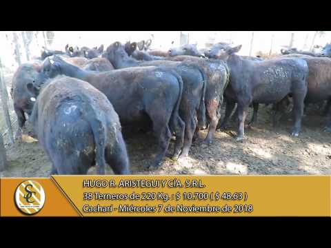 07-11-18 Venta de Machos - Hugo R. Aristegui y Cía. S.R.L. - Cacharí