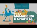 BYE BYE MAMADEIRA E CHUPETA REBECA NEMER