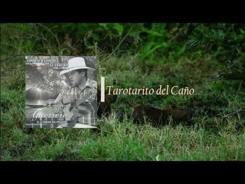Jorge Guerrero - Tarotarito del Caño