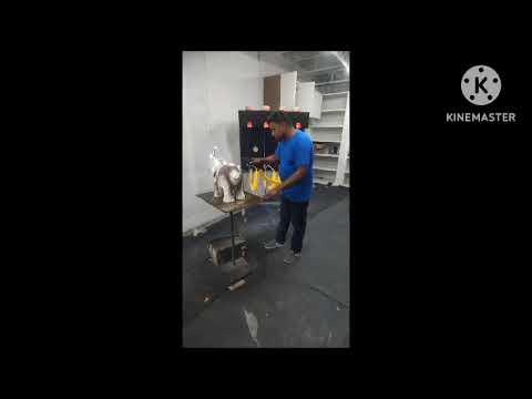 Twin Lobe Compressor