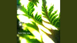 Fern Like You Music Video