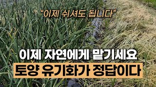 토양의 유기화 필요한 이유 #에너지농법 #탄소농업 #유기농업 #자연농업 #환경농업 #토양개선