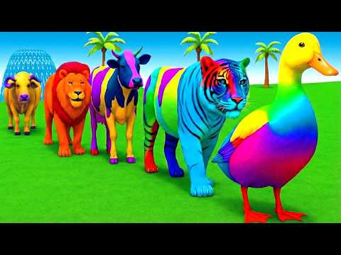 Long Slide Game With Cow Elephant Gorilla Hippopotamus Tiger 3d Animal Game Funny 3d Animals