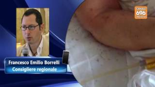 formiche-nel-letto-d-ospedale-e-una-cosa-indegna