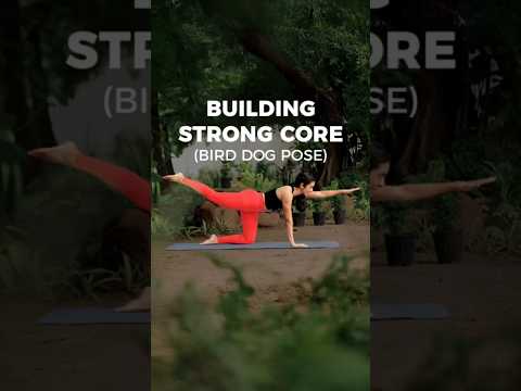 How to Build Core Strength | Building Strong Core | #shorts #CoreStrengtheningYoga