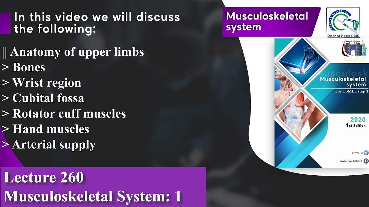 Wrist region | Cubital fossa | Rotator cuff muscles | Hand muscles | Arterial Supply of upper limbs