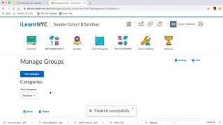 Creating Groups in iLearnNYC LMS / Brightspace