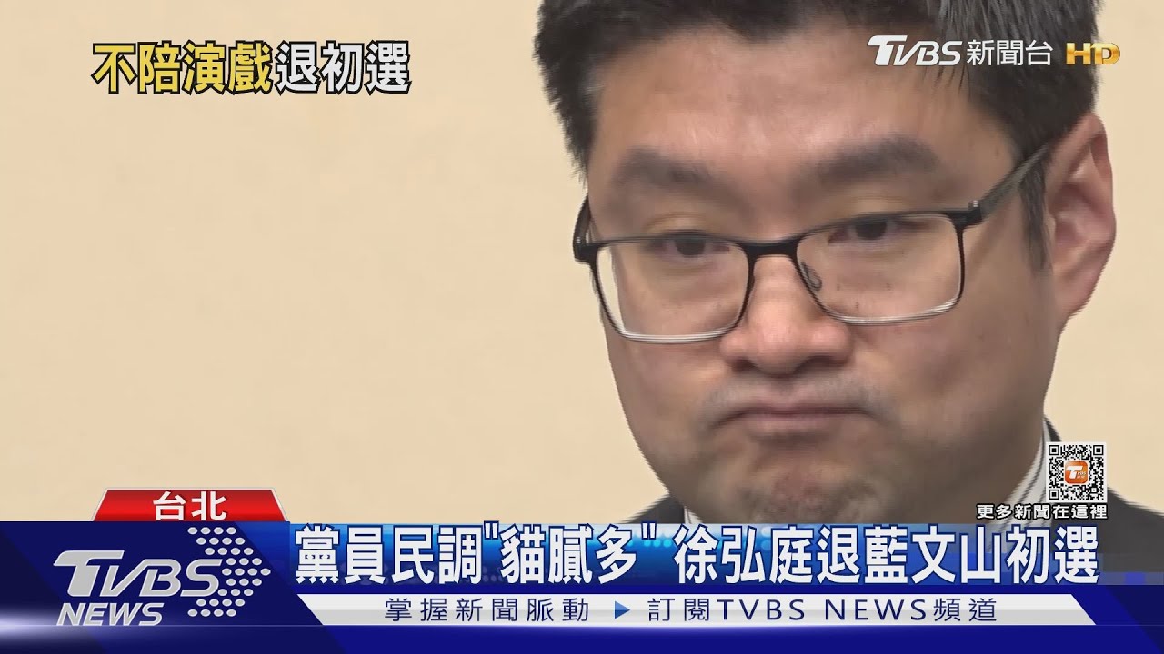 黨員民調「貓膩多」　徐弘庭退藍文山初選