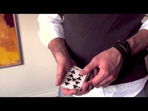 Shaaken by Helder Guimarães