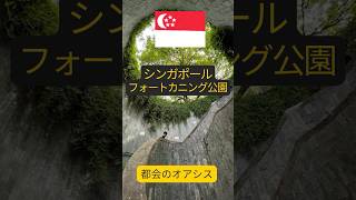 シンガポール【都会のオアシス】フォートカニング公園 #shorts #シンガポール #シンガポール観光 #シンガポール生活 #フォートカニング #singapore #singaporetravel
