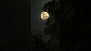 Beautiful nature night moon Instagram tranding wha