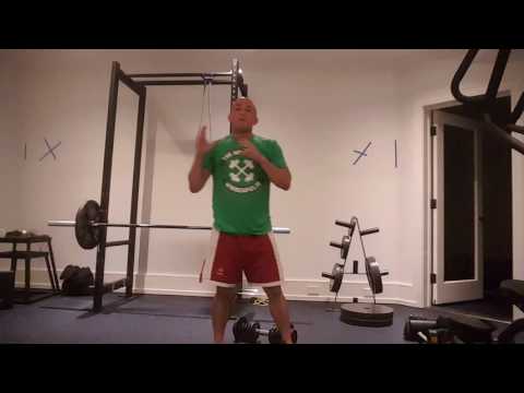 bent over dumbbell rear delt raise with head on bench