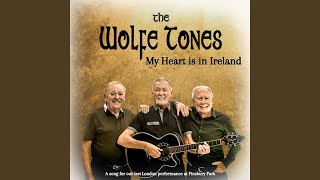 My Heart is in Ireland (2024)