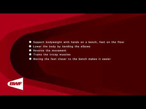 CE2M8V31 - Poids de corps - Pompes dans le dos sur un banc