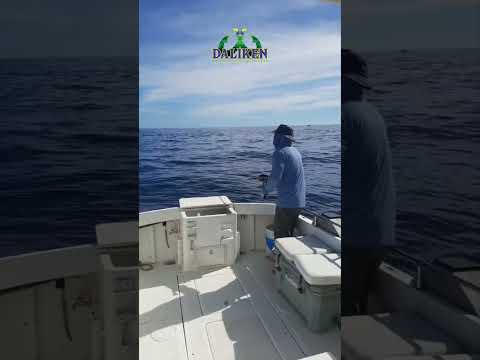 Fly fishing tuna aboard Habanero 28ft with Daliken Sportfishing in San José del Cabo