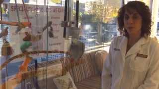 The importance of foraging for your bird