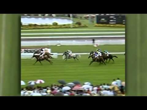 1990/91 Doncaster Handicap -Super Impose