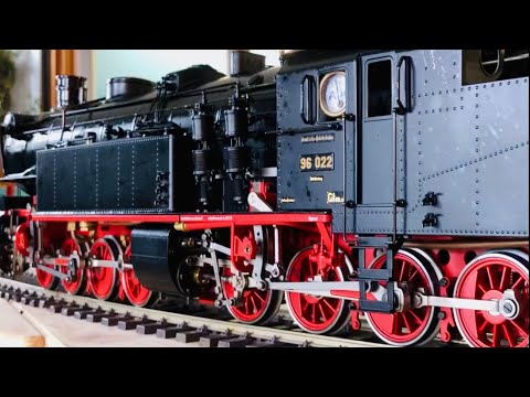 Aster 96 Sends Her Regards to Paul