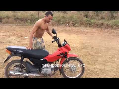 Fundo de quintal ofc ( taco taco e não pegar)version