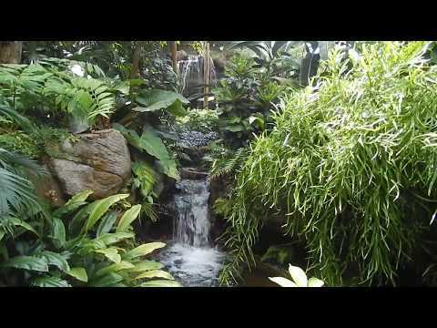 Climatron at Missouri Botanical Garden, Saint Louis 2018 part 1