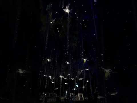 Wedding Planner portfolio by M23 Events in Indore - Photo 1