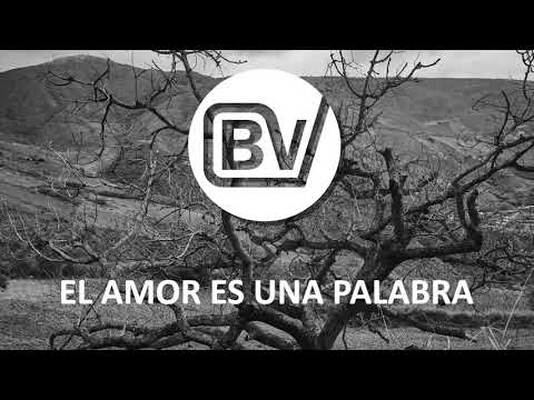 El amor es una palabra