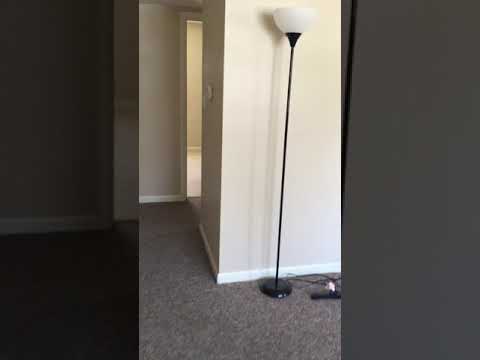 The Simpson - Video 2 of 2