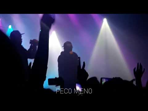 190215 PLT - Insomniac | PLT in Berlin